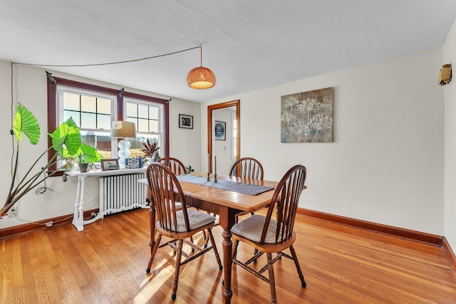 dining area with radiator heating unit and light hardwood / wood-style flooring