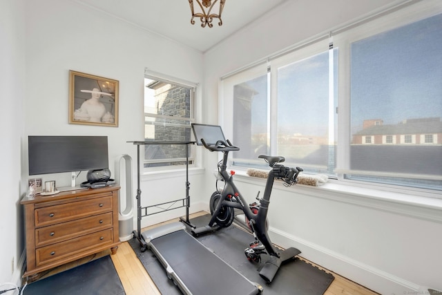 exercise room featuring hardwood / wood-style floors