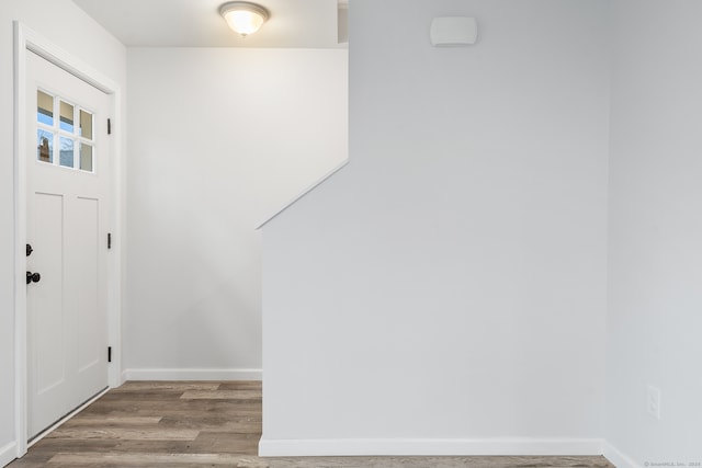 entrance foyer with wood-type flooring