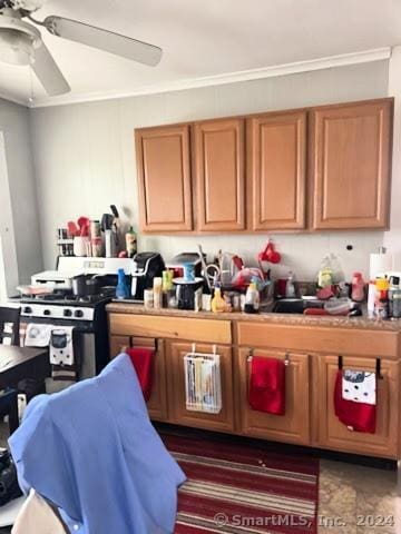 kitchen with ceiling fan, white range with gas stovetop, and ornamental molding