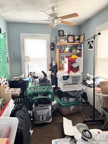 miscellaneous room with ceiling fan