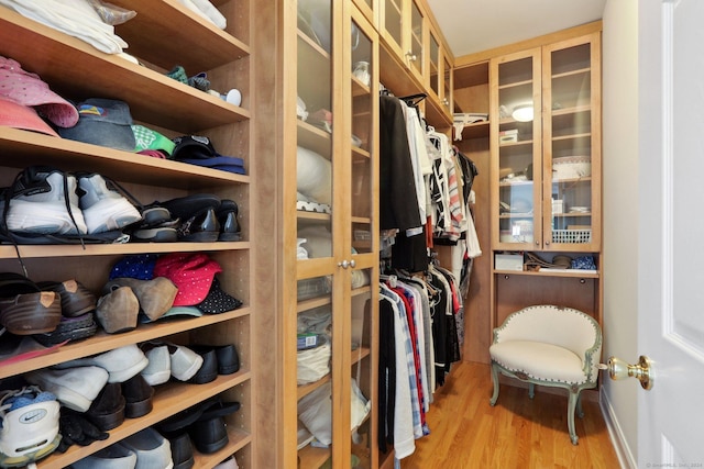 walk in closet featuring light wood-type flooring