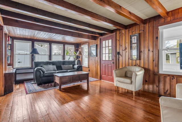 living room featuring a healthy amount of sunlight, wood-type flooring, and wooden walls