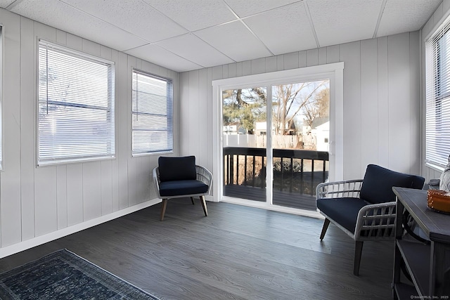 living area with dark hardwood / wood-style flooring, a drop ceiling, plenty of natural light, and wooden walls