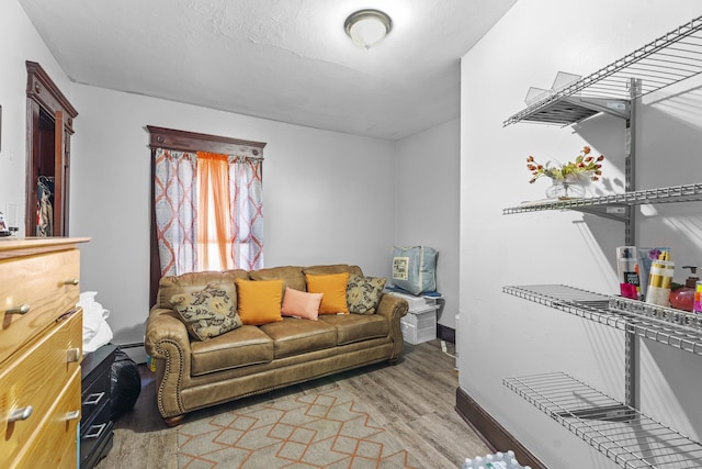 living room featuring light hardwood / wood-style floors and a baseboard radiator