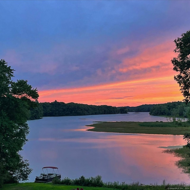 property view of water