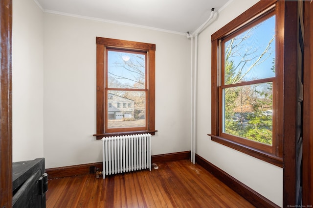 spare room with a wealth of natural light, dark hardwood / wood-style floors, radiator, and ornamental molding