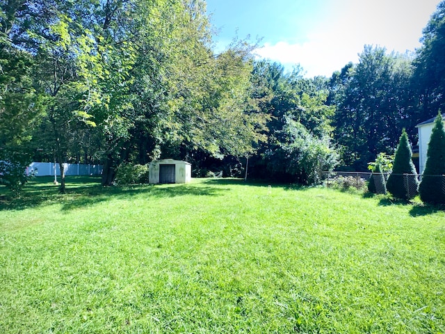 view of yard featuring a shed