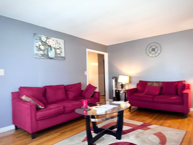 living room featuring hardwood / wood-style flooring