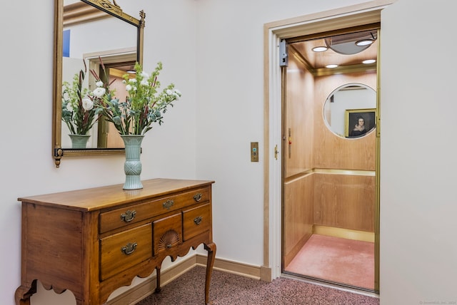 interior space featuring carpet floors