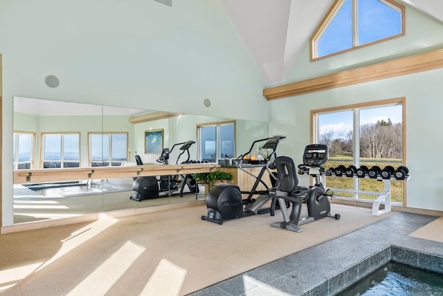 exercise room with a jacuzzi, carpet floors, and high vaulted ceiling