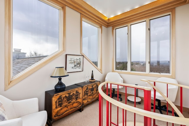 sitting room featuring carpet floors