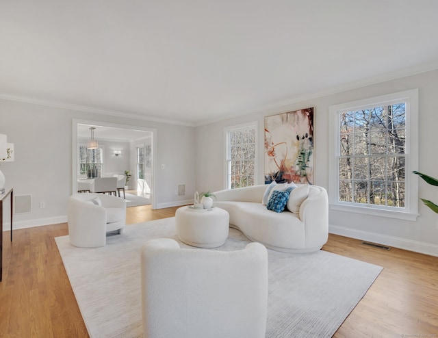 living room featuring ornamental molding and light hardwood / wood-style flooring