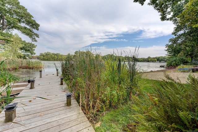 dock area featuring a water view