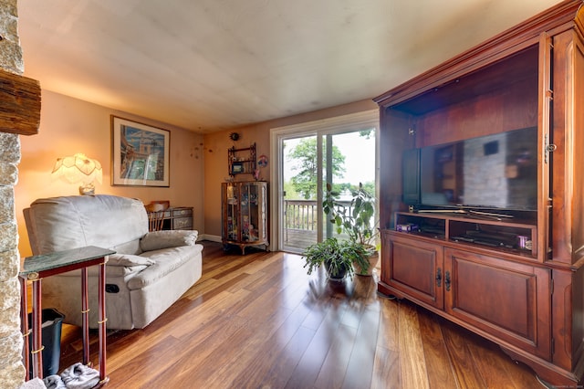 living room with hardwood / wood-style floors