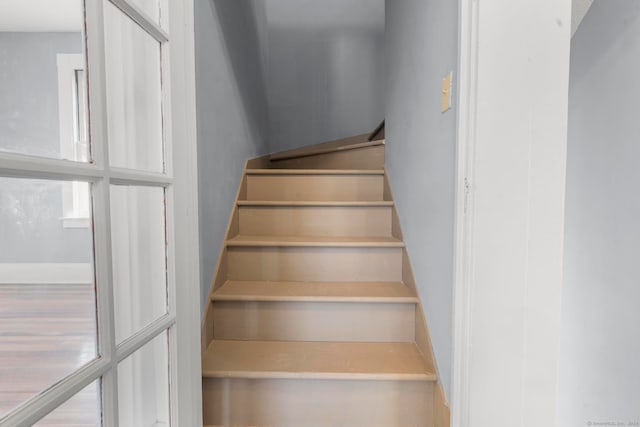 staircase featuring wood-type flooring