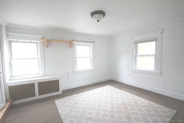 empty room with carpet, plenty of natural light, and radiator heating unit