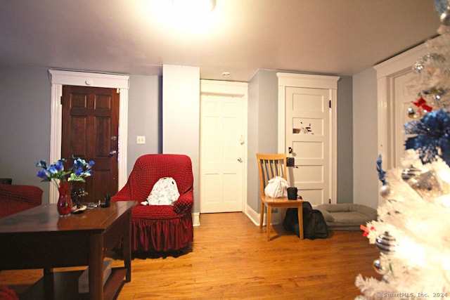 sitting room with light wood-type flooring