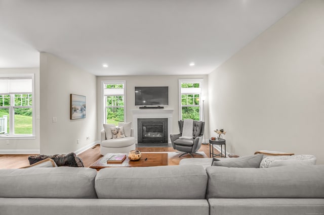 living room with hardwood / wood-style floors and a wealth of natural light