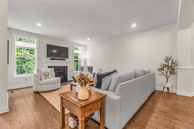 living room with a wealth of natural light and light hardwood / wood-style floors