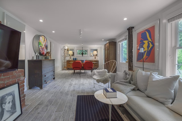 living room with wood-type flooring