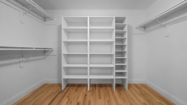 spacious closet featuring wood finished floors