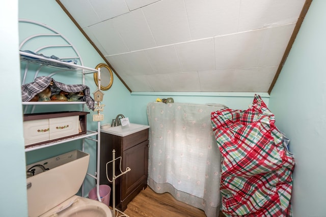 bathroom featuring hardwood / wood-style floors and vaulted ceiling