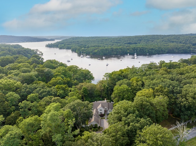 aerial view with a water view