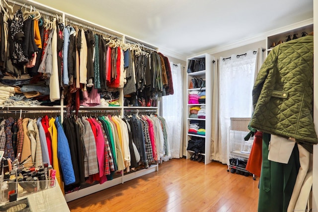 spacious closet featuring hardwood / wood-style flooring