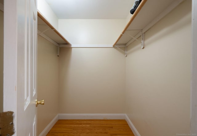 walk in closet with hardwood / wood-style floors