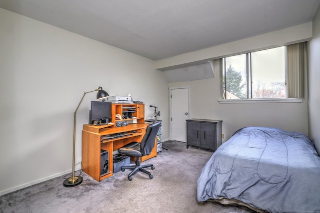 bedroom featuring carpet flooring