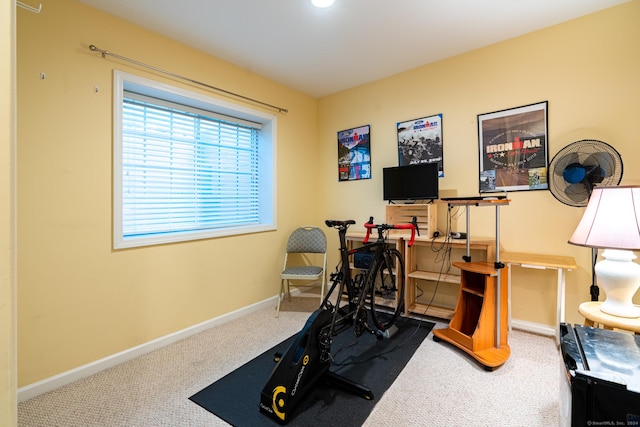 workout area featuring carpet flooring