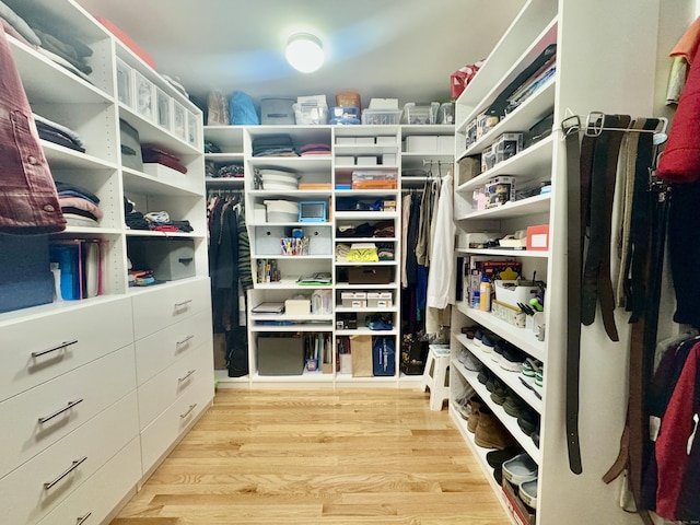 walk in closet featuring light hardwood / wood-style flooring