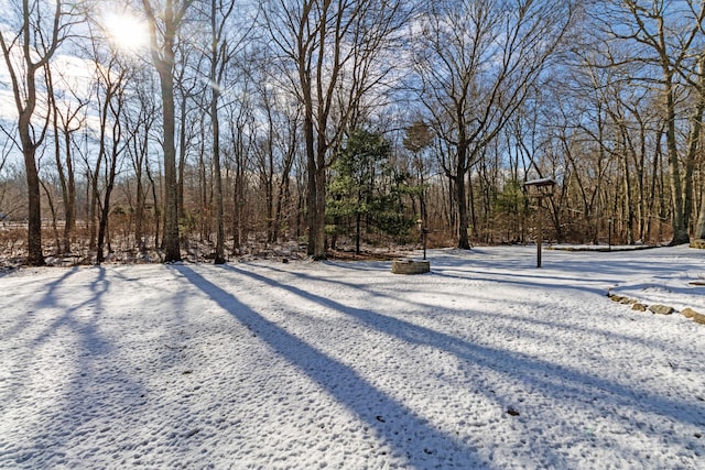 view of yard layered in snow