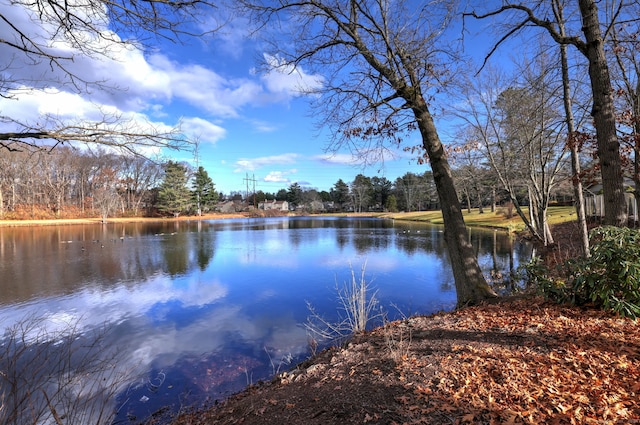 view of water feature