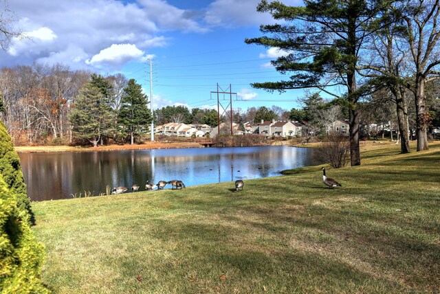 6 Lakeview Dr Unit 6, Southington, CT 06489 - photo 34