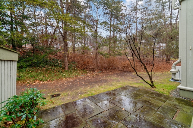 view of yard featuring a patio