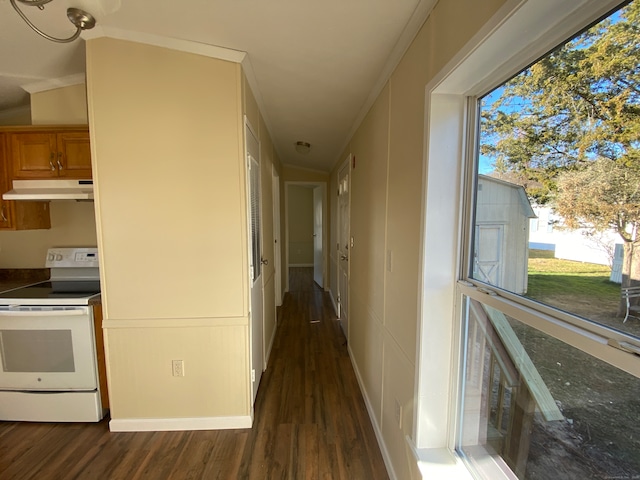 hallway with crown molding and dark wood-type flooring