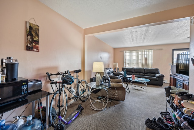 interior space featuring carpet, a baseboard radiator, and a textured ceiling