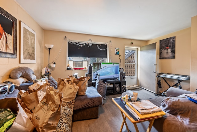 living room featuring dark hardwood / wood-style flooring