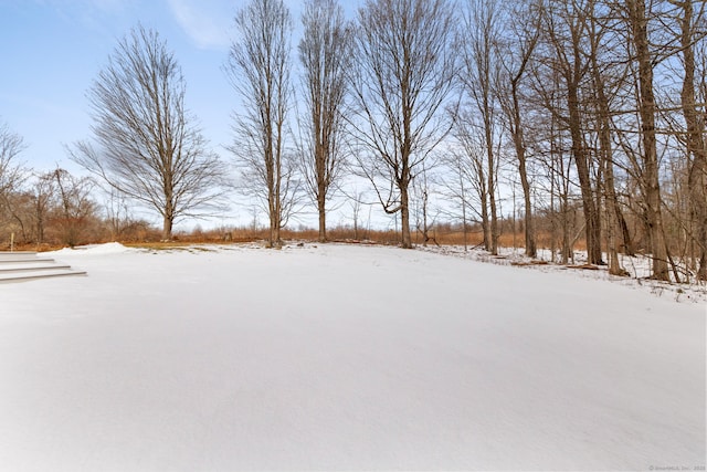 view of snowy yard