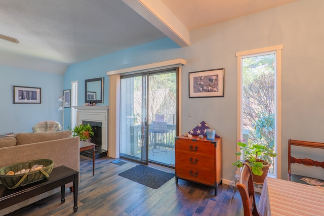 doorway to outside featuring a textured ceiling, plenty of natural light, and dark wood-type flooring