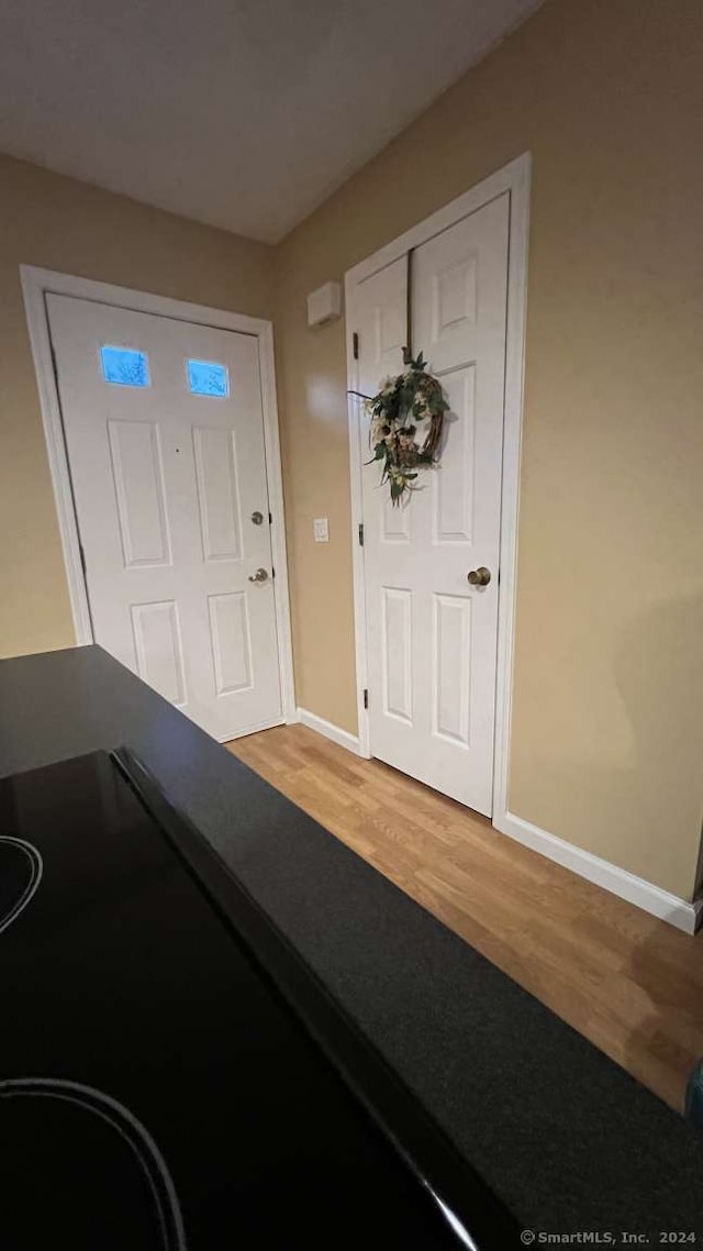 foyer with wood-type flooring