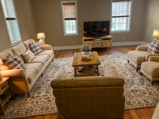 living room with baseboards and wood finished floors