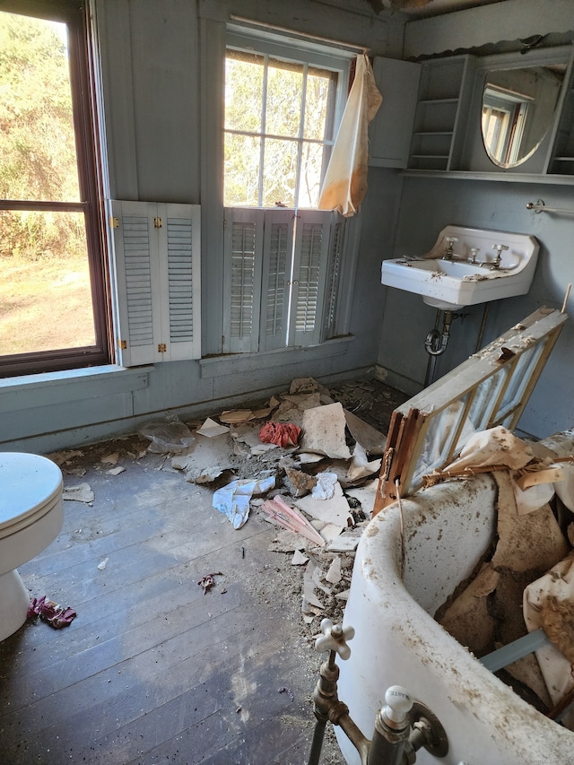 bathroom with hardwood / wood-style flooring, toilet, and sink