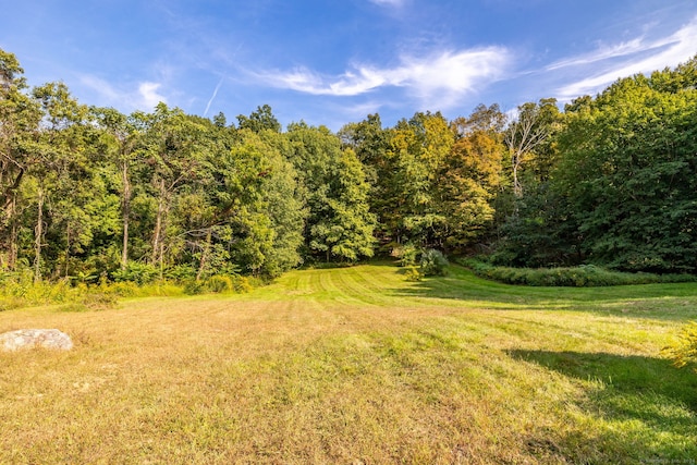 view of yard with a forest view