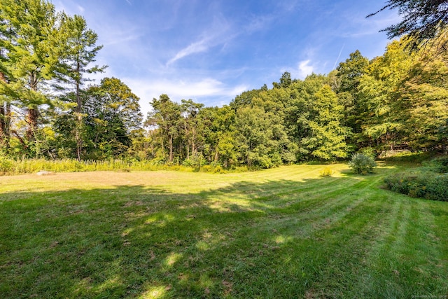 view of yard with a view of trees