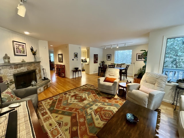 living room with a fireplace, wood-type flooring, and rail lighting