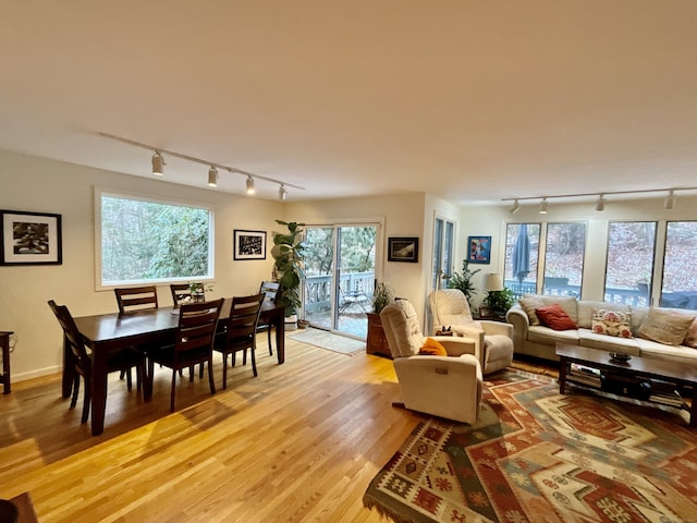 living room with plenty of natural light, track lighting, and hardwood / wood-style flooring