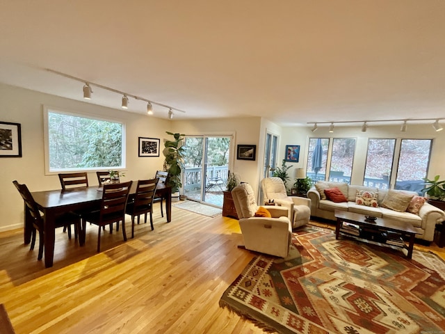 living room with plenty of natural light, rail lighting, and light wood-type flooring